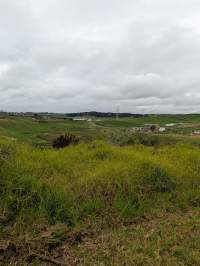 Drive by photos - Captured at Unknown dairy, Pukekohe Auckland New Zealand.