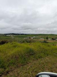 Drive by photos - Captured at Unknown dairy, Pukekohe Auckland New Zealand.