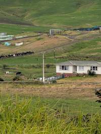 Drive by photos - Captured at Unknown dairy, Pukekohe Auckland New Zealand.