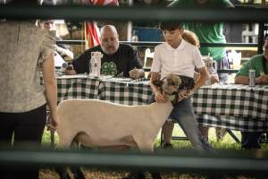 Somerset County 4-H Fair 2026 - Captured at Somerset County Ted Blum 4-H Center, Bridgewater NJ United States.