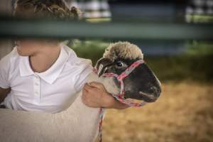 Somerset County 4-H Fair 2026 - Captured at Somerset County Ted Blum 4-H Center, Bridgewater NJ United States.
