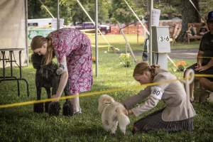 Somerset County 4-H Fair 2026 - Captured at Somerset County Ted Blum 4-H Center, Bridgewater NJ United States.