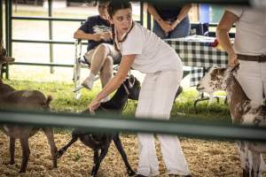 Somerset County 4-H Fair 2026 - Captured at Somerset County Ted Blum 4-H Center, Bridgewater NJ United States.