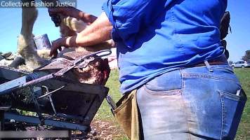 Live Lamb Cutting Screenshots - Collective Fashion Justice