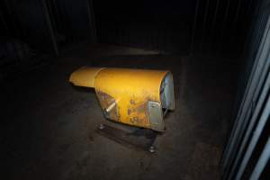 Dummy sow - Dummy sow used for semen collection - Captured at Walla Farms Piggery, Yarrawalla VIC Australia.