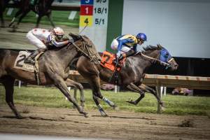 Monmouth Park September 2026 - Captured at Monmouth Park Racetrack, Oceanport NJ United States.