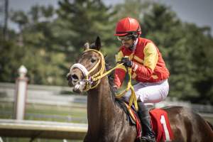 Monmouth Park September 2026 - Captured at Monmouth Park Racetrack, Oceanport NJ United States.
