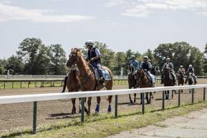 Monmouth Park September 2026 - Captured at Monmouth Park Racetrack, Oceanport NJ United States.