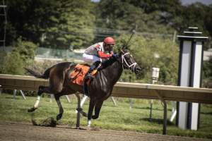 Monmouth Park September 2026 - Captured at Monmouth Park Racetrack, Oceanport NJ United States.