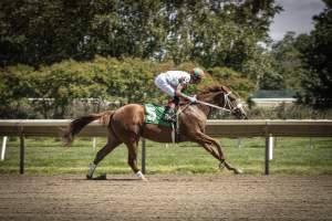 Monmouth Park September 2026 - Captured at Monmouth Park Racetrack, Oceanport NJ United States.