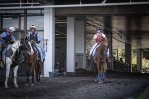 Monmouth Park September 2026 - Captured at Monmouth Park Racetrack, Oceanport NJ United States.
