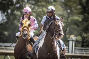 Monmouth Park September 2026 - Captured at Monmouth Park Racetrack, Oceanport NJ United States.