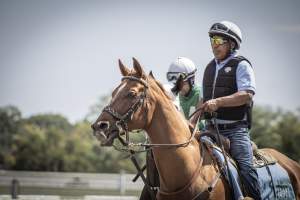 Monmouth Park September 2026 - Captured at Monmouth Park Racetrack, Oceanport NJ United States.