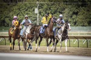 Monmouth Park September 2026 - Captured at Monmouth Park Racetrack, Oceanport NJ United States.