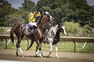 Monmouth Park September 2026 - Captured at Monmouth Park Racetrack, Oceanport NJ United States.