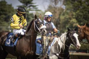 Monmouth Park September 2026 - Captured at Monmouth Park Racetrack, Oceanport NJ United States.