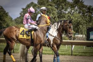 Monmouth Park September 2026 - Captured at Monmouth Park Racetrack, Oceanport NJ United States.