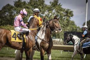 Monmouth Park September 2026 - Captured at Monmouth Park Racetrack, Oceanport NJ United States.