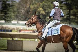Monmouth Park September 2026 - Captured at Monmouth Park Racetrack, Oceanport NJ United States.