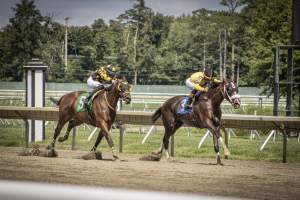 Monmouth Park September 2026 - Captured at Monmouth Park Racetrack, Oceanport NJ United States.