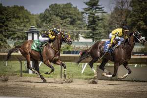 Monmouth Park September 2026 - Captured at Monmouth Park Racetrack, Oceanport NJ United States.