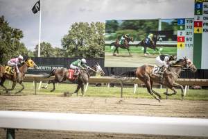 Monmouth Park September 2026 - Captured at Monmouth Park Racetrack, Oceanport NJ United States.