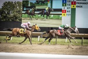 Monmouth Park September 2026 - Captured at Monmouth Park Racetrack, Oceanport NJ United States.