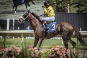 Monmouth Park September 2026 - Captured at Monmouth Park Racetrack, Oceanport NJ United States.