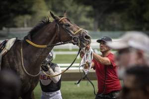 Monmouth Park September 2026 - Captured at Monmouth Park Racetrack, Oceanport NJ United States.