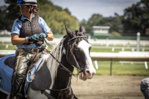 Monmouth Park September 2026 - Captured at Monmouth Park Racetrack, Oceanport NJ United States.