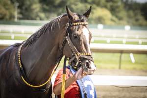 Monmouth Park September 2026 - Captured at Monmouth Park Racetrack, Oceanport NJ United States.