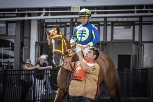 Monmouth Park September 2026 - Captured at Monmouth Park Racetrack, Oceanport NJ United States.