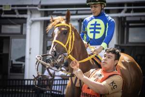 Monmouth Park September 2026 - Captured at Monmouth Park Racetrack, Oceanport NJ United States.