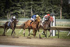 Monmouth Park September 2026 - Captured at Monmouth Park Racetrack, Oceanport NJ United States.