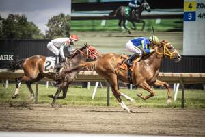 Monmouth Park September 2026 - Captured at Monmouth Park Racetrack, Oceanport NJ United States.