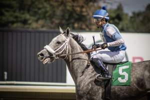 Monmouth Park September 2026 - Captured at Monmouth Park Racetrack, Oceanport NJ United States.