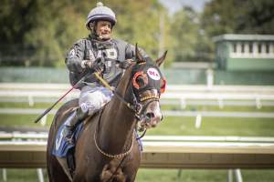 Monmouth Park September 2026 - Captured at Monmouth Park Racetrack, Oceanport NJ United States.