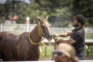 Monmouth Park September 2026 - Captured at Monmouth Park Racetrack, Oceanport NJ United States.