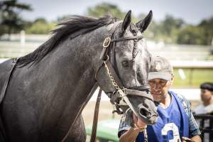 Monmouth Park September 2026 - Captured at Monmouth Park Racetrack, Oceanport NJ United States.
