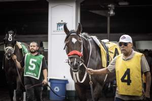 Monmouth Park September 2026 - Captured at Monmouth Park Racetrack, Oceanport NJ United States.