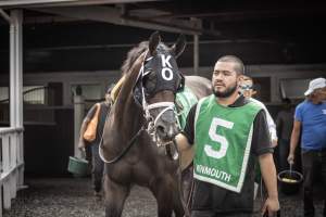 Monmouth Park September 2026 - Captured at Monmouth Park Racetrack, Oceanport NJ United States.