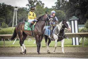 Monmouth Park September 2026 - Captured at Monmouth Park Racetrack, Oceanport NJ United States.
