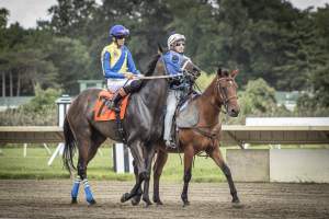 Monmouth Park September 2026 - Captured at Monmouth Park Racetrack, Oceanport NJ United States.