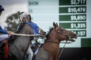 Monmouth Park September 2026 - Captured at Monmouth Park Racetrack, Oceanport NJ United States.