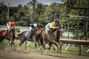 Monmouth Park September 2026 - Captured at Monmouth Park Racetrack, Oceanport NJ United States.