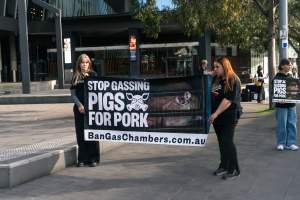 Dominion Outreach Melbourne - FoodPro
