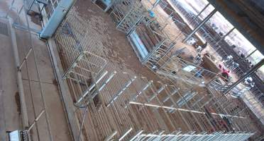 Workers in calf pens at dairy farm - Screenshot from hidden camera - Captured at Minko North Dairy, Korunye SA Australia.