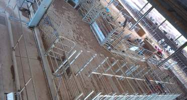 Workers in calf pens at dairy farm - Screenshot from hidden camera - Captured at Minko North Dairy, Korunye SA Australia.