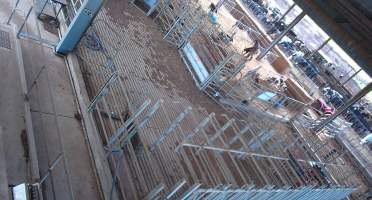 Workers in calf pens at dairy farm - Screenshot from hidden camera - Captured at Minko North Dairy, Korunye SA Australia.