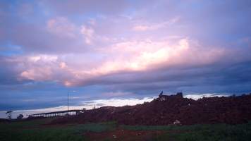 Dead pile at dairy farm - Screenshot from hidden camera - Captured at Minko North Dairy, Korunye SA Australia.